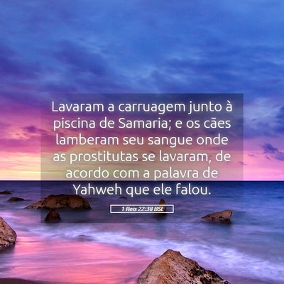 Picture 05 - 1 Reis 22:38 BSL - Lavaram a carruagem junto à piscina de Samaria; - Bible Verse Picture
