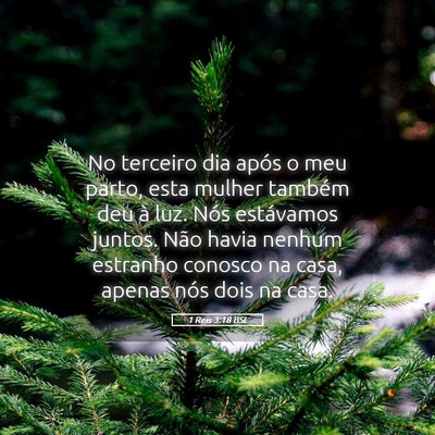 Picture 05 - 1 Reis 3:18 BSL - No terceiro dia após o meu parto, esta mulher - Bible Verse Picture