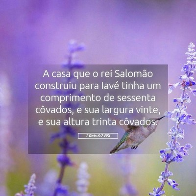 Picture 05 - 1 Reis 6:2 BSL - A casa que o rei Salomão construiu para Iavé - Bible Verse Picture
