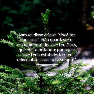 Picture 05 - 1 Samuel 13:13 BSL - Samuel disse a Saul: “Você fez loucuras”. - Bible Verse Picture