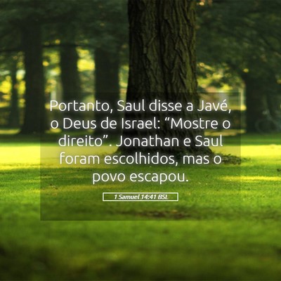 Picture 05 - 1 Samuel 14:41 BSL - Portanto, Saul disse a Javé, o Deus de Israel: - Bible Verse Picture