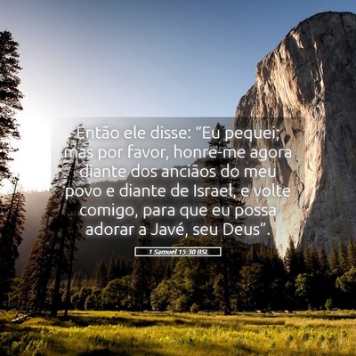 Picture 05 - 1 Samuel 15:30 BSL - Então ele disse: “Eu pequei; mas por favor, - Bible Verse Picture