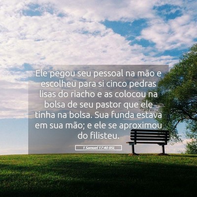 Picture 05 - 1 Samuel 17:40 BSL - Ele pegou seu pessoal na mão e escolheu para si - Bible Verse Picture