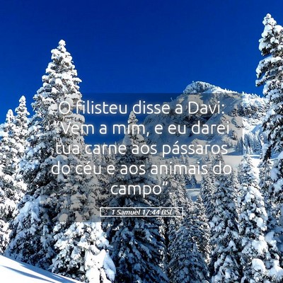 Picture 05 - 1 Samuel 17:44 BSL - O filisteu disse a Davi: “Vem a mim, e eu darei - Bible Verse Picture