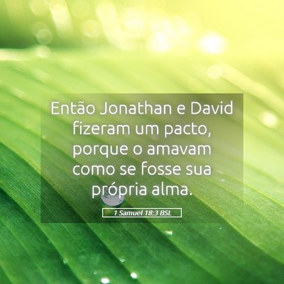Picture 05 - 1 Samuel 18:3 BSL - Então Jonathan e David fizeram um pacto, porque - Bible Verse Picture