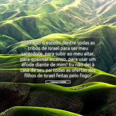 Picture 05 - 1 Samuel 2:28 BSL - Didn'Não o escolhi dentre todas as tribos de - Bible Verse Picture