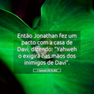 Picture 05 - 1 Samuel 20:16 BSL - Então Jonathan fez um pacto com a casa de Davi, - Bible Verse Picture