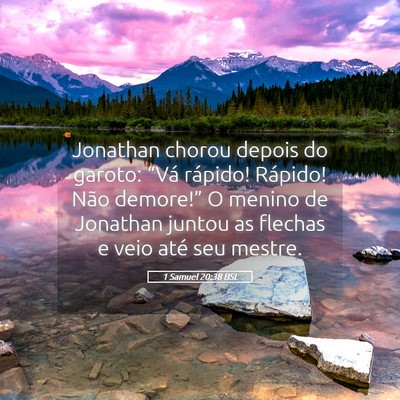 Picture 05 - 1 Samuel 20:38 BSL - Jonathan chorou depois do garoto: “Vá rápido! - Bible Verse Picture