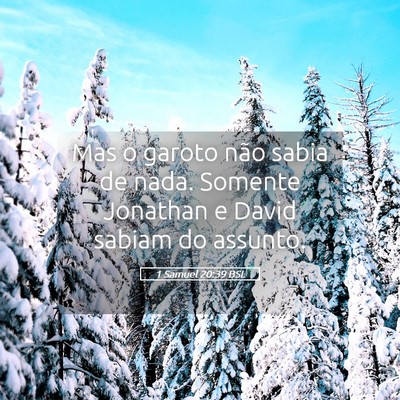 Picture 05 - 1 Samuel 20:39 BSL - Mas o garoto não sabia de nada. Somente Jonathan - Bible Verse Picture