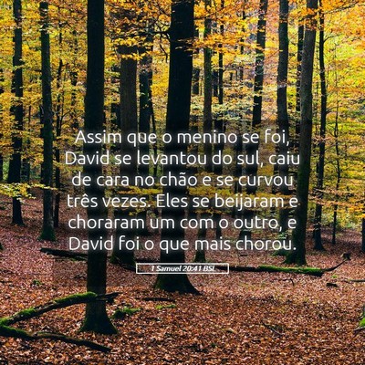 Picture 05 - 1 Samuel 20:41 BSL - Assim que o menino se foi, David se levantou do - Bible Verse Picture