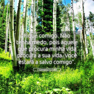 Picture 05 - 1 Samuel 22:23 BSL - Fique comigo. Não tenha medo, pois aquele que - Bible Verse Picture
