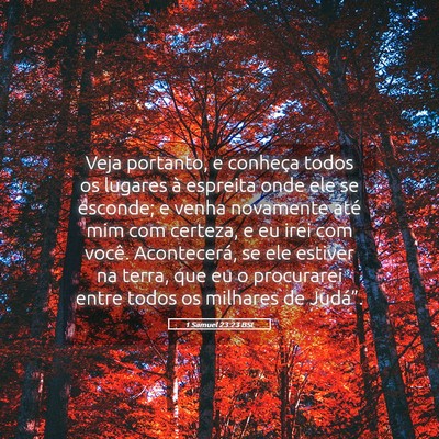 Picture 05 - 1 Samuel 23:23 BSL - Veja portanto, e conheça todos os lugares à - Bible Verse Picture