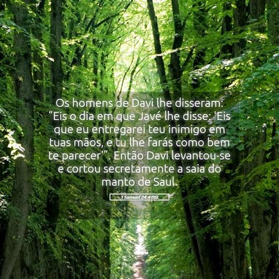 Picture 05 - 1 Samuel 24:4 BSL - Os homens de Davi lhe disseram: “Eis o dia em - Bible Verse Picture