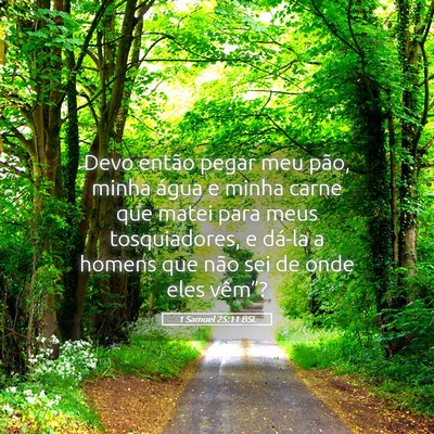 Picture 05 - 1 Samuel 25:11 BSL - Devo então pegar meu pão, minha água e minha - Bible Verse Picture
