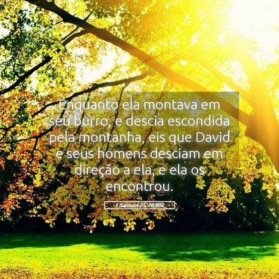 Picture 05 - 1 Samuel 25:20 BSL - Enquanto ela montava em seu burro, e descia - Bible Verse Picture