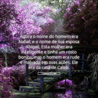 Picture 05 - 1 Samuel 25:3 BSL - Agora o nome do homem era Nabal; e o nome de sua - Bible Verse Picture