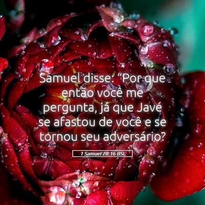 Picture 05 - 1 Samuel 28:16 BSL - Samuel disse: “Por que então você me - Bible Verse Picture