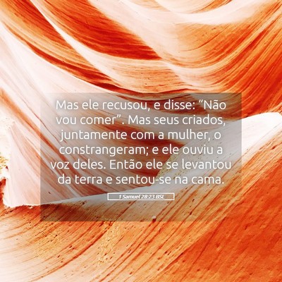 Picture 05 - 1 Samuel 28:23 BSL - Mas ele recusou, e disse: “Não vou comer”. - Bible Verse Picture