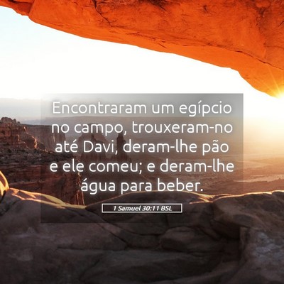 Picture 05 - 1 Samuel 30:11 BSL - Encontraram um egípcio no campo, trouxeram-no - Bible Verse Picture