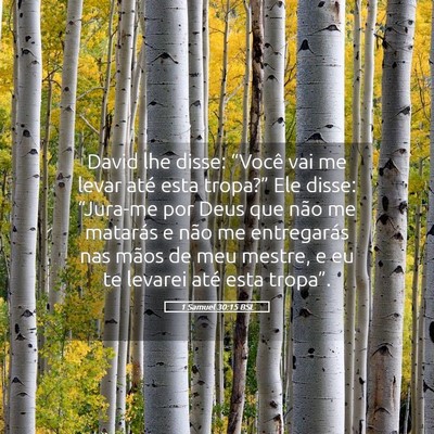 Picture 05 - 1 Samuel 30:15 BSL - David lhe disse: “Você vai me levar até esta - Bible Verse Picture
