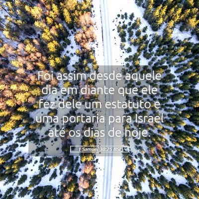 Picture 05 - 1 Samuel 30:25 BSL - Foi assim desde aquele dia em diante que ele fez - Bible Verse Picture