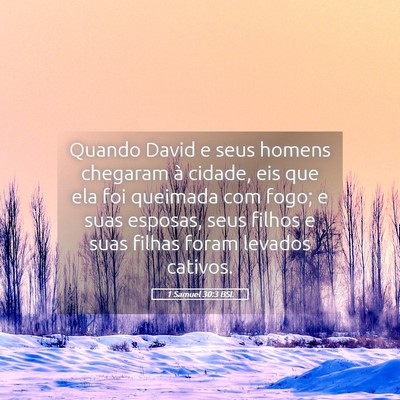 Picture 05 - 1 Samuel 30:3 BSL - Quando David e seus homens chegaram à cidade, - Bible Verse Picture