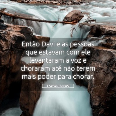 Picture 05 - 1 Samuel 30:4 BSL - Então Davi e as pessoas que estavam com ele - Bible Verse Picture