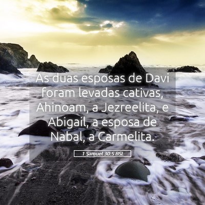 Picture 05 - 1 Samuel 30:5 BSL - As duas esposas de Davi foram levadas cativas, - Bible Verse Picture