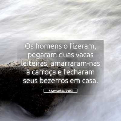Picture 05 - 1 Samuel 6:10 BSL - Os homens o fizeram, pegaram duas vacas - Bible Verse Picture