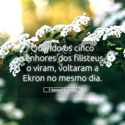 Picture 05 - 1 Samuel 6:16 BSL - Quando os cinco senhores dos filisteus o viram, - Bible Verse Picture