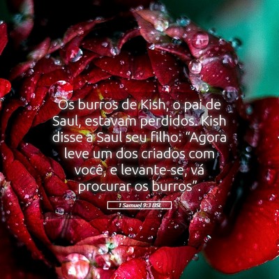 Picture 05 - 1 Samuel 9:3 BSL - Os burros de Kish, o pai de Saul, estavam - Bible Verse Picture