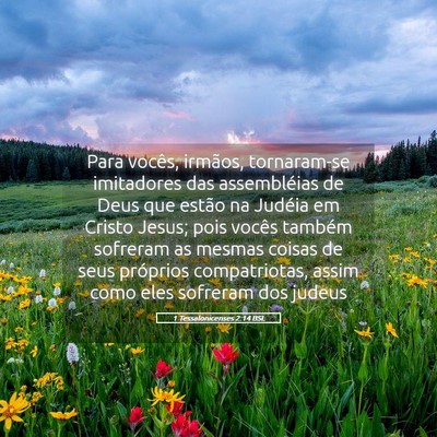 Picture 05 - 1 Tessalonicenses 2:14 BSL - Para vocês, irmãos, tornaram-se imitadores das - Bible Verse Picture