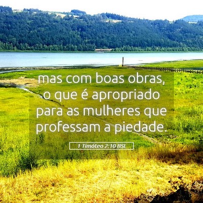 Picture 05 - 1 Timóteo 2:10 BSL - mas com boas obras, o que é apropriado para as - Bible Verse Picture