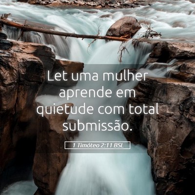 Picture 05 - 1 Timóteo 2:11 BSL - Let uma mulher aprende em quietude com total - Bible Verse Picture