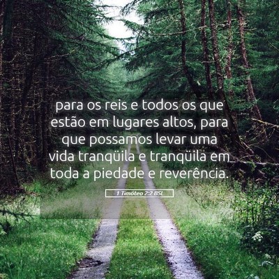 Picture 05 - 1 Timóteo 2:2 BSL - para os reis e todos os que estão em lugares - Bible Verse Picture