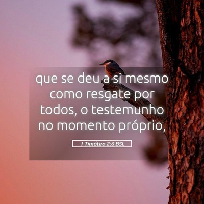 Picture 05 - 1 Timóteo 2:6 BSL - que se deu a si mesmo como resgate por todos, o - Bible Verse Picture