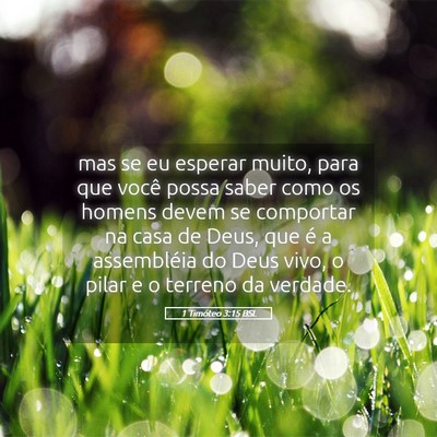 Picture 05 - 1 Timóteo 3:15 BSL - mas se eu esperar muito, para que você possa - Bible Verse Picture