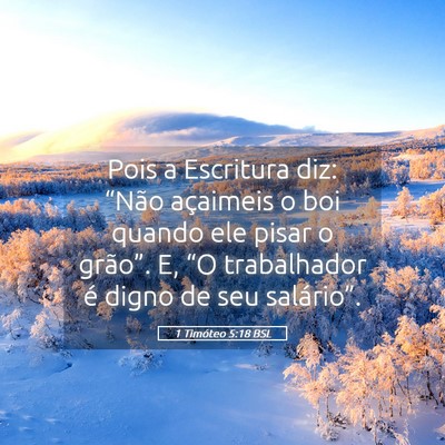 Picture 05 - 1 Timóteo 5:18 BSL - Pois a Escritura diz: “Não açaimeis o boi - Bible Verse Picture