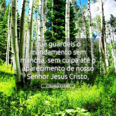 Picture 05 - 1 Timóteo 6:14 BSL - que guardeis o mandamento sem mancha, sem culpa - Bible Verse Picture
