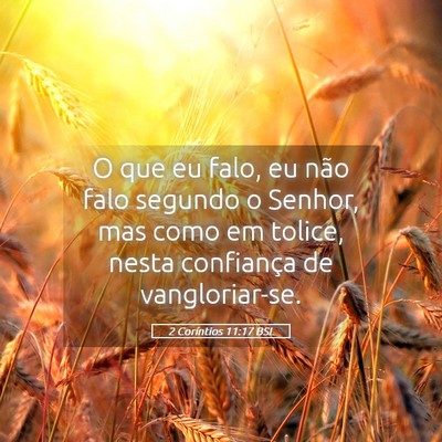 Picture 05 - 2 Coríntios 11:17 BSL - O que eu falo, eu não falo segundo o Senhor, mas - Bible Verse Picture