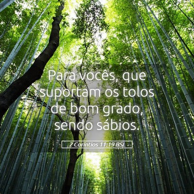 Picture 05 - 2 Coríntios 11:19 BSL - Para vocês, que suportam os tolos de bom grado, - Bible Verse Picture