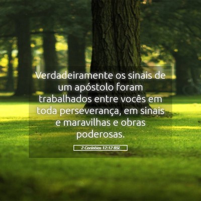 Picture 05 - 2 Coríntios 12:12 BSL - Verdadeiramente os sinais de um apóstolo foram - Bible Verse Picture