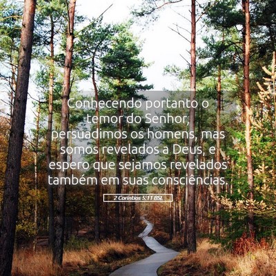 Picture 05 - 2 Coríntios 5:11 BSL - Conhecendo portanto o temor do Senhor, - Bible Verse Picture
