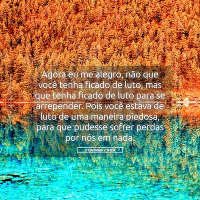 Picture 05 - 2 Coríntios 7:9 BSL - Agora eu me alegro, não que você tenha ficado - Bible Verse Picture