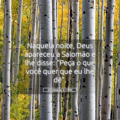 Picture 05 - 2 Crônicas 1:7 BSL - Naquela noite, Deus apareceu a Salomão e lhe - Bible Verse Picture