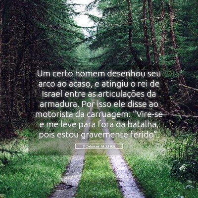 Picture 05 - 2 Crônicas 18:33 BSL - Um certo homem desenhou seu arco ao acaso, e - Bible Verse Picture