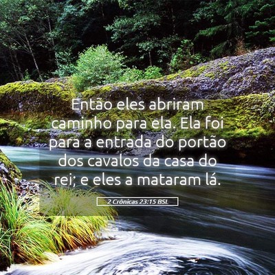 Picture 05 - 2 Crônicas 23:15 BSL - Então eles abriram caminho para ela. Ela foi - Bible Verse Picture