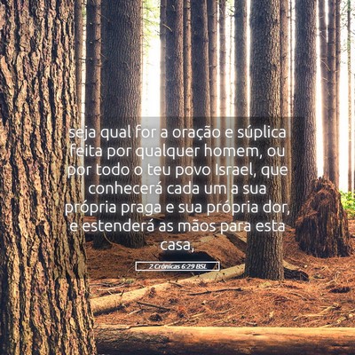 Picture 05 - 2 Crônicas 6:29 BSL - seja qual for a oração e súplica feita por - Bible Verse Picture