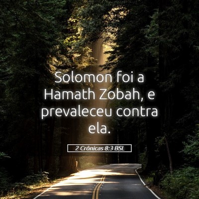 Picture 05 - 2 Crônicas 8:3 BSL - Solomon foi a Hamath Zobah, e prevaleceu contra - Bible Verse Picture