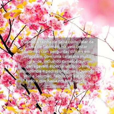 Picture 05 - 2 Crônicas 9:1 BSL - Quando a rainha de Sabá ouviu falar da fama de - Bible Verse Picture